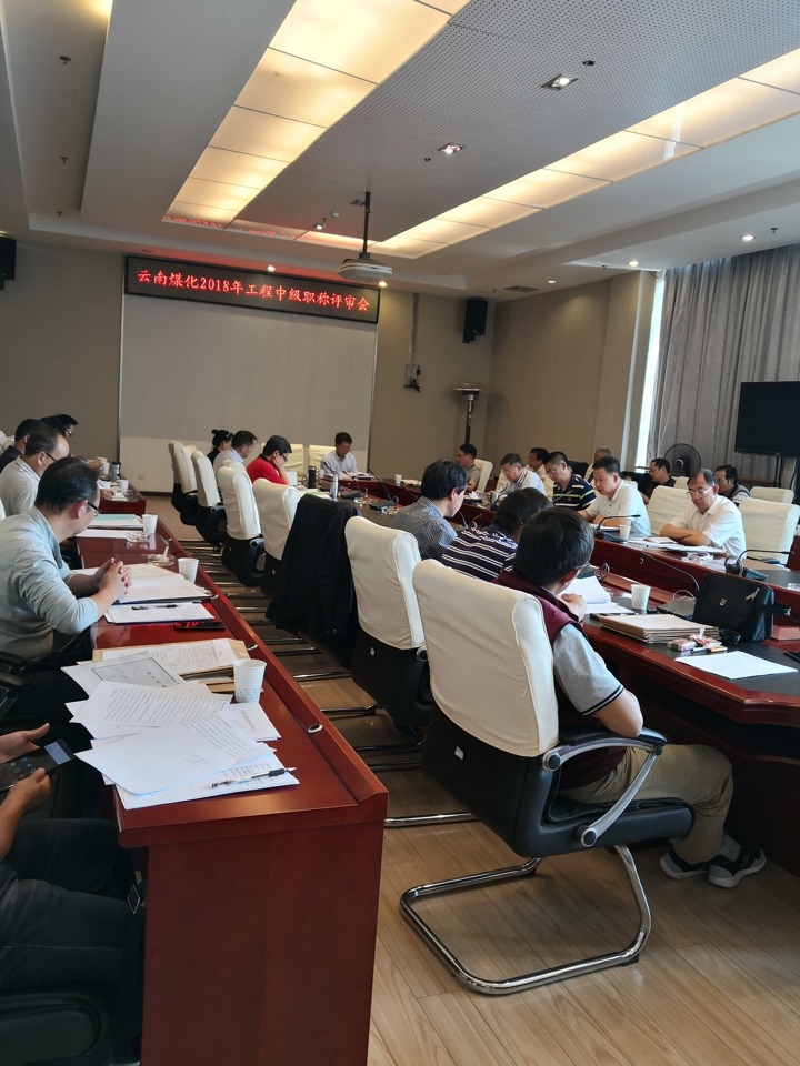 云南NG体育集团中评委会召开