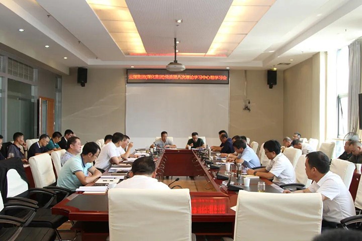 云煤（NG体育）集团党委开展2021年第八次党委理论学习中心组集中学习