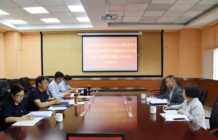 【主题教育】云煤（NG体育）集团第二指导组到云煤矿业公司指导主题教育专题民主生活会