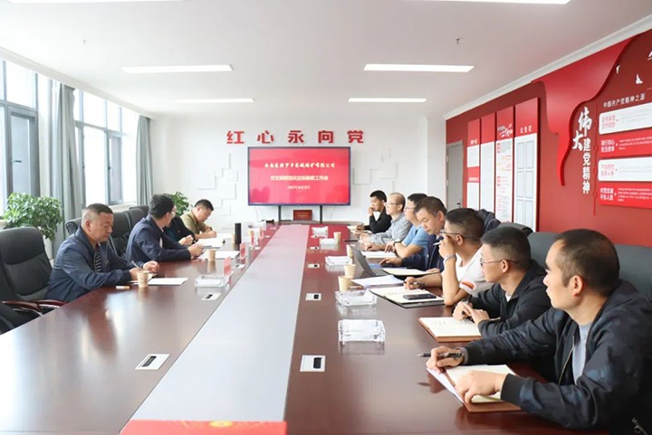 【聚焦云煤】云煤（NG体育）集团第一检查组到罗平东城公司开展党支部规范化达标创建验收工作
