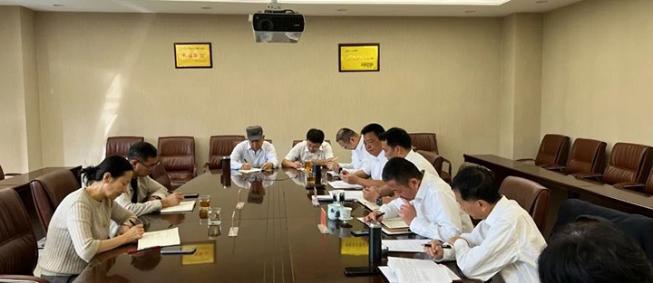 【聚焦云煤】云煤（NG体育）集团党委委员、财务总监莫晓丹到NG体育地产公司列席指导党支部理论学习研讨会