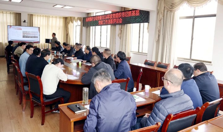 以“述”亮绩，，，，，，，，以“评”促干│后所煤矿公司党委召开2024年度党组织书记抓基层党建工作述职评议考核会